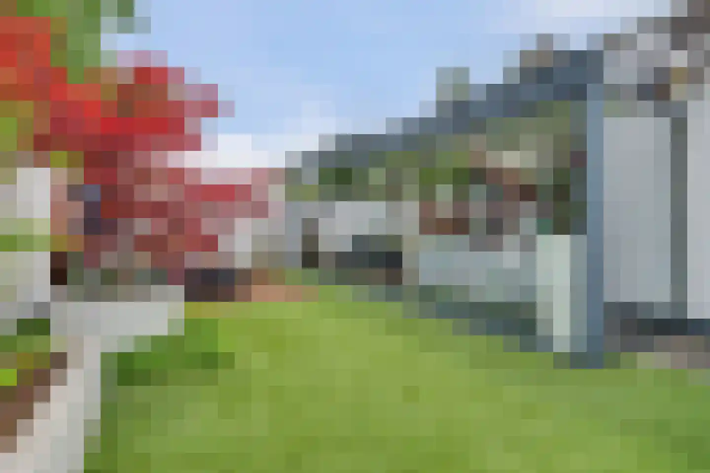 Helmkruid 2 Bladel foto 3