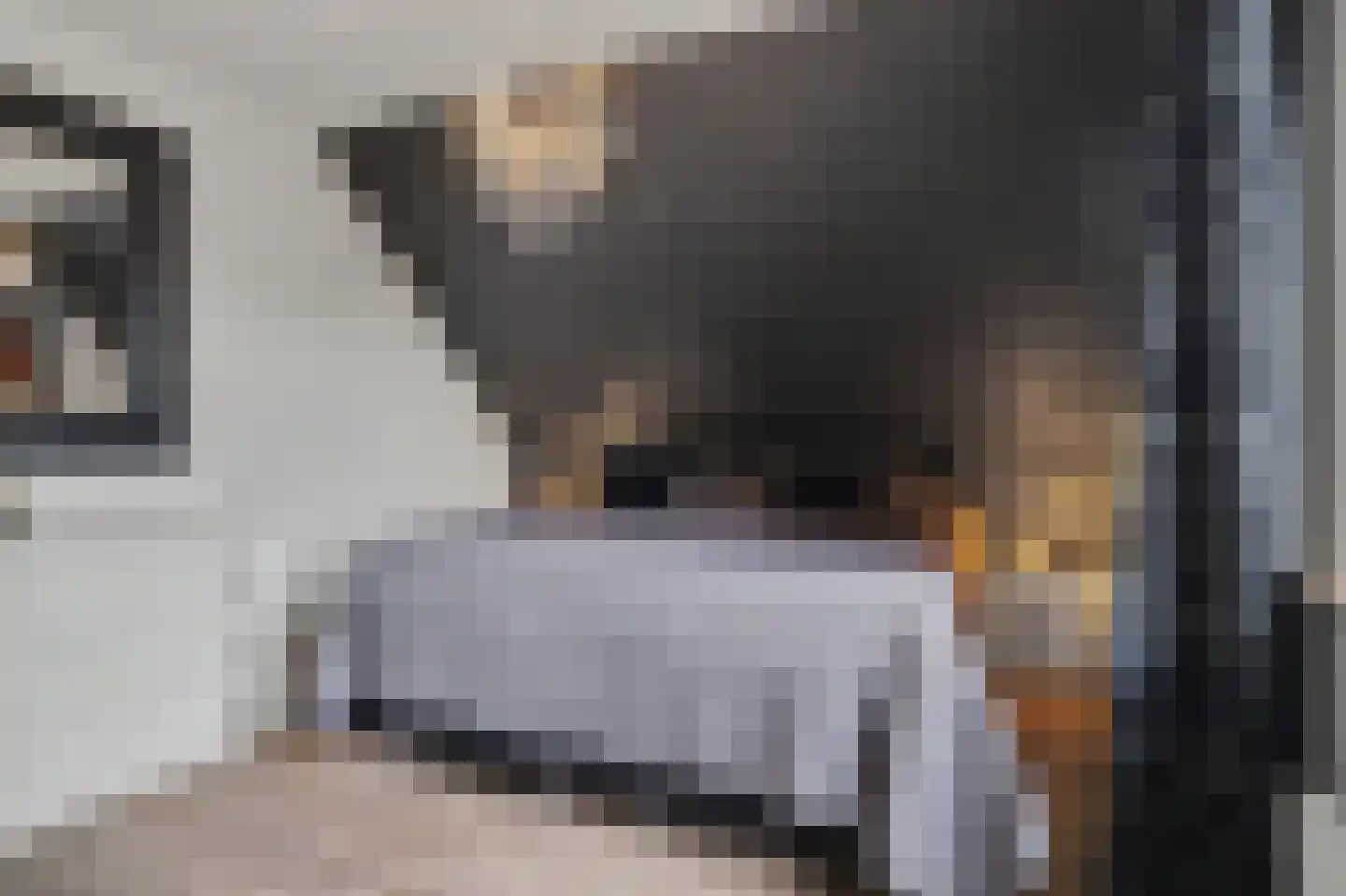 Helmkruid 2 Bladel thumbnail 30