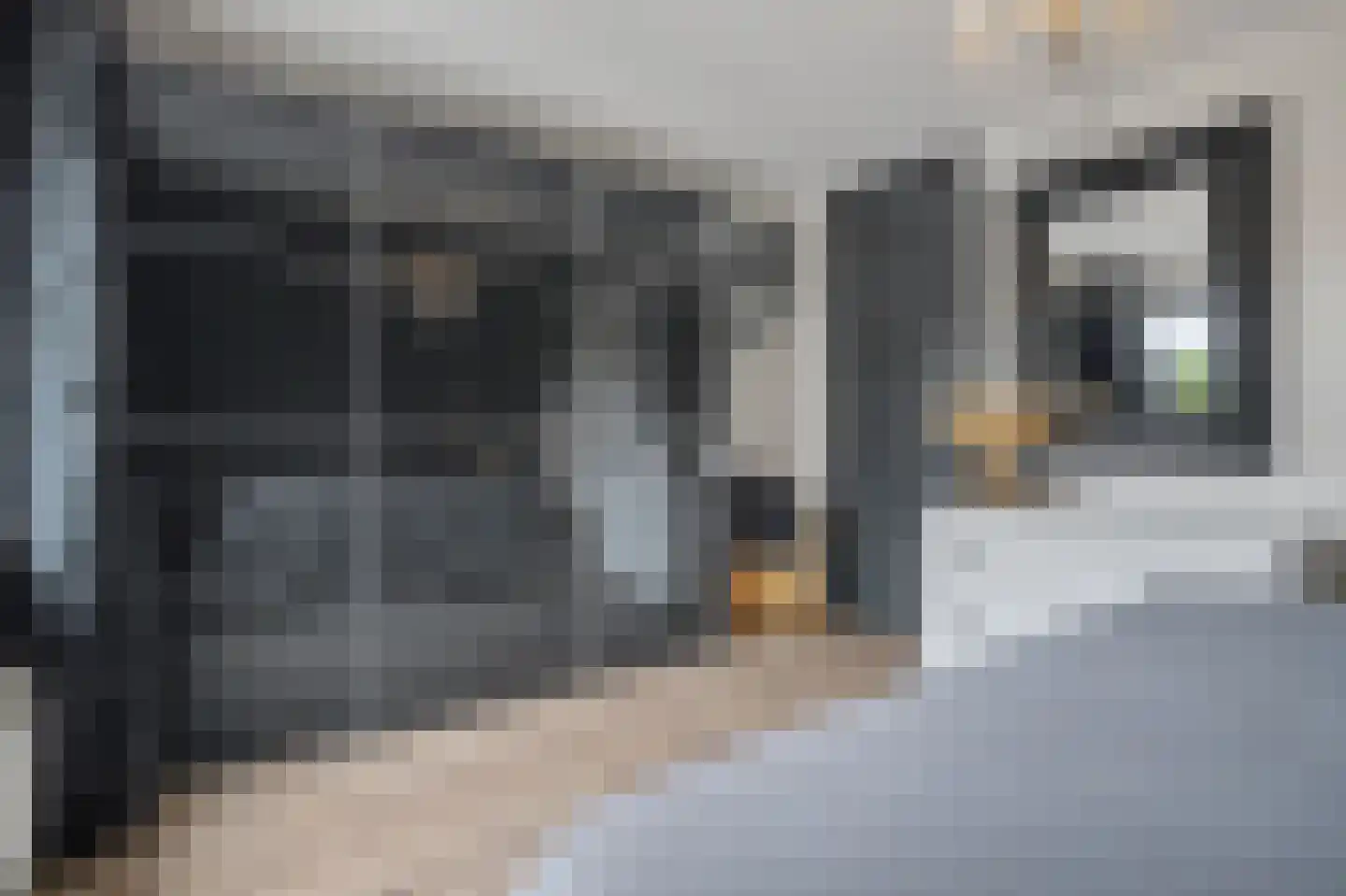 Helmkruid 2 Bladel thumbnail 31