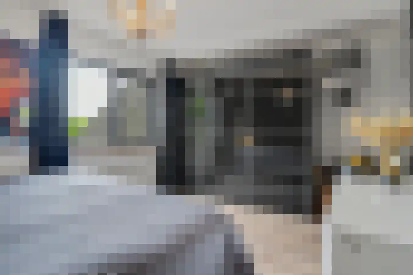 Helmkruid 2 Bladel thumbnail 32