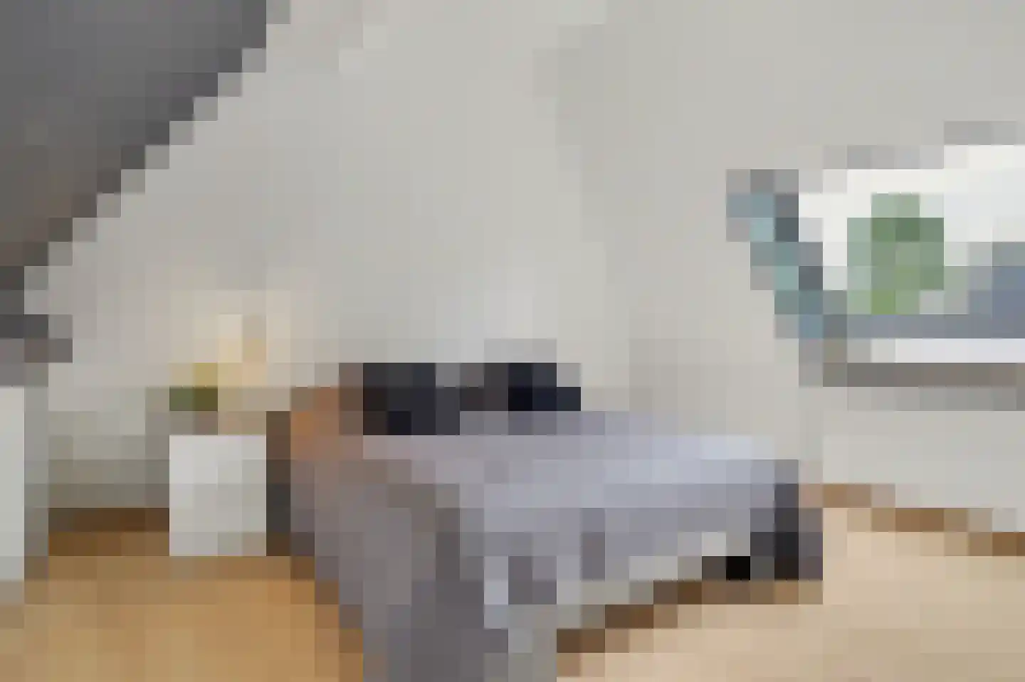 Helmkruid 2 Bladel thumbnail 33