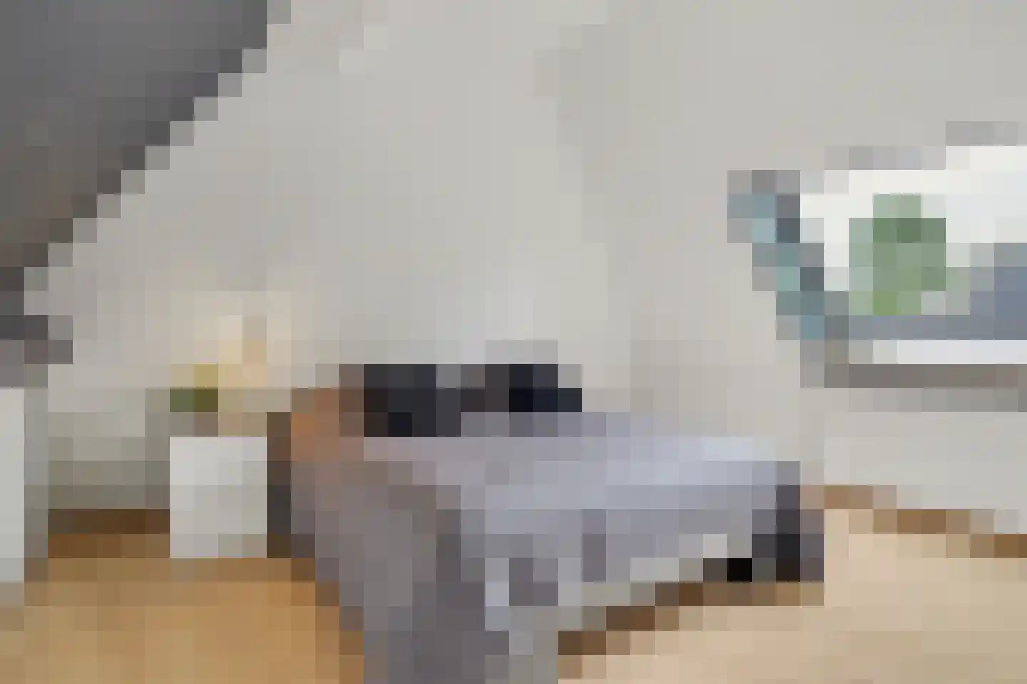 Helmkruid 2 Bladel thumbnail 35