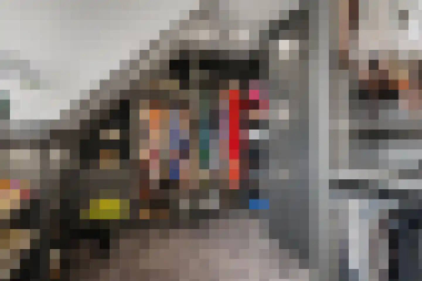 Helmkruid 2 Bladel thumbnail 37