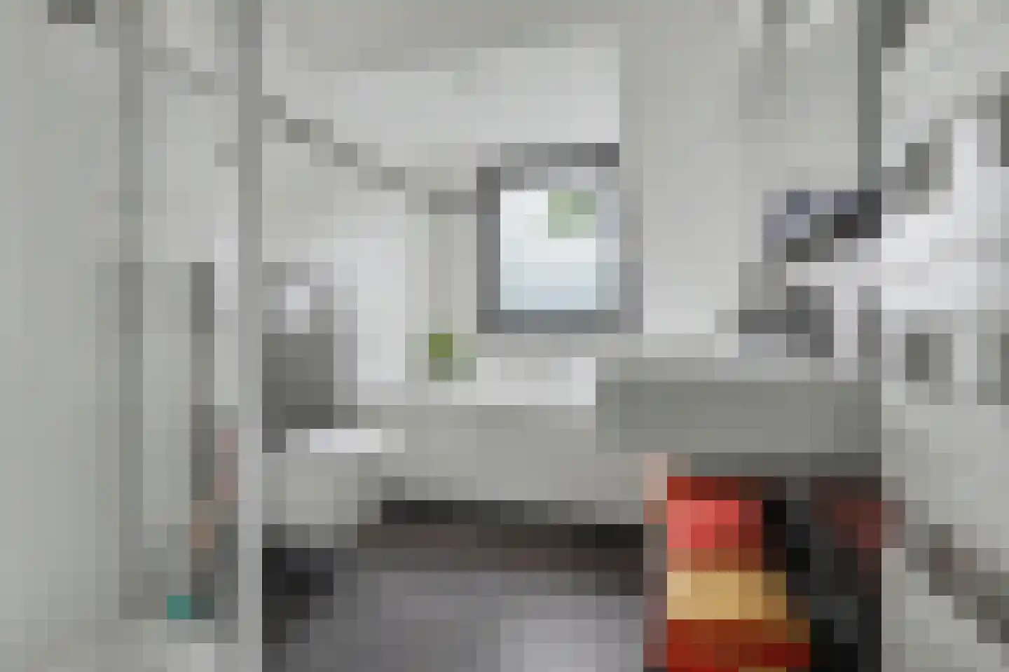 Helmkruid 2 Bladel thumbnail 38