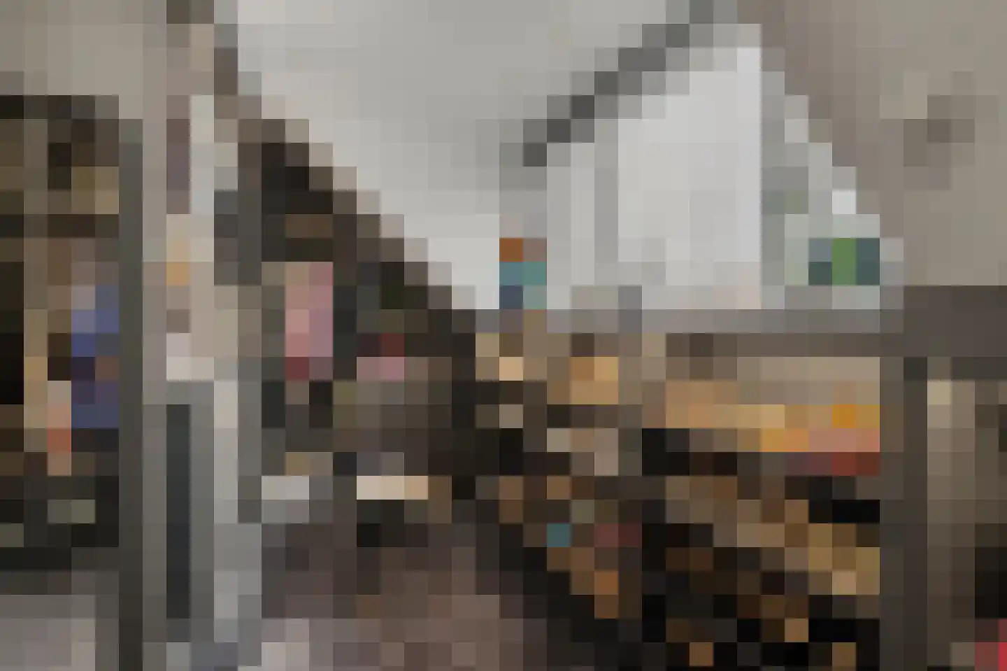 Helmkruid 2 Bladel thumbnail 38