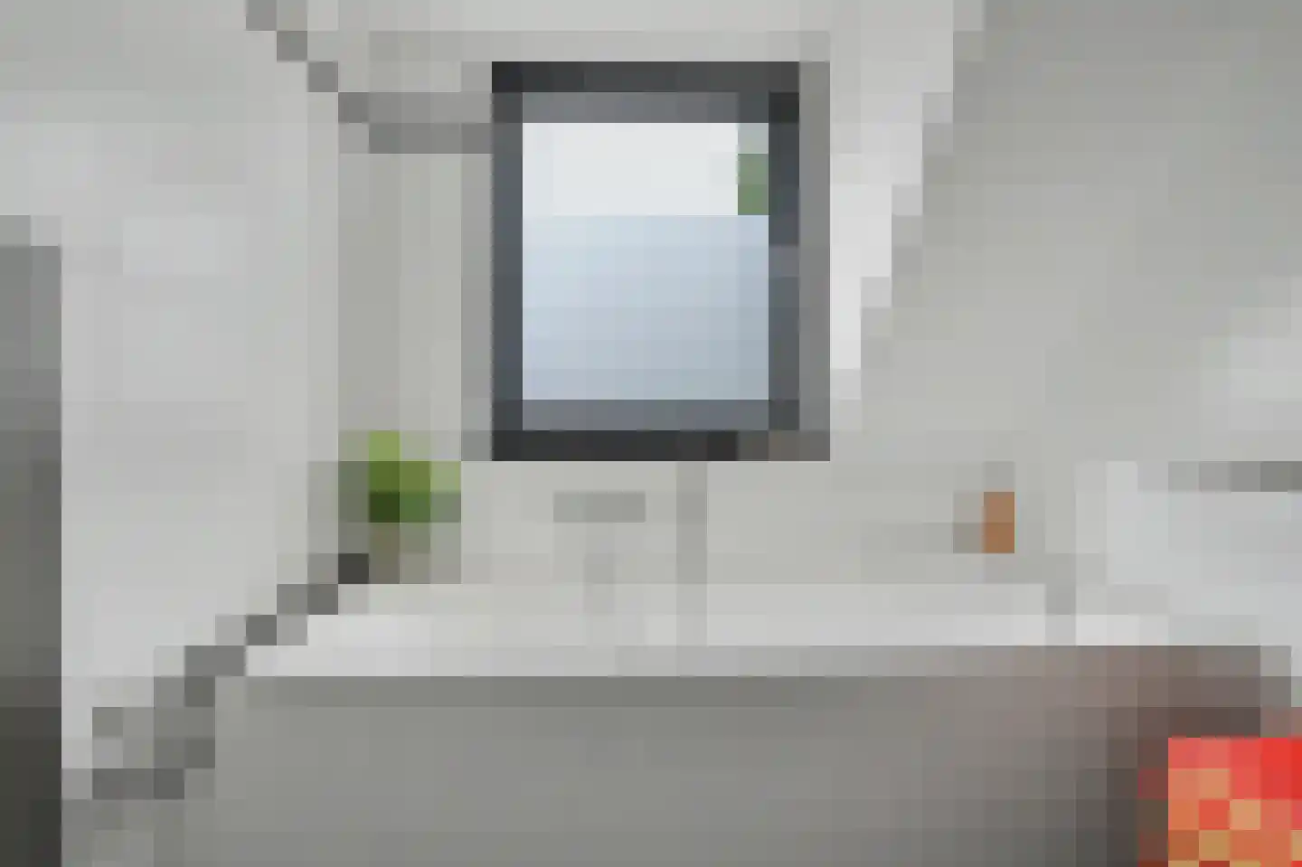 Helmkruid 2 Bladel thumbnail 39