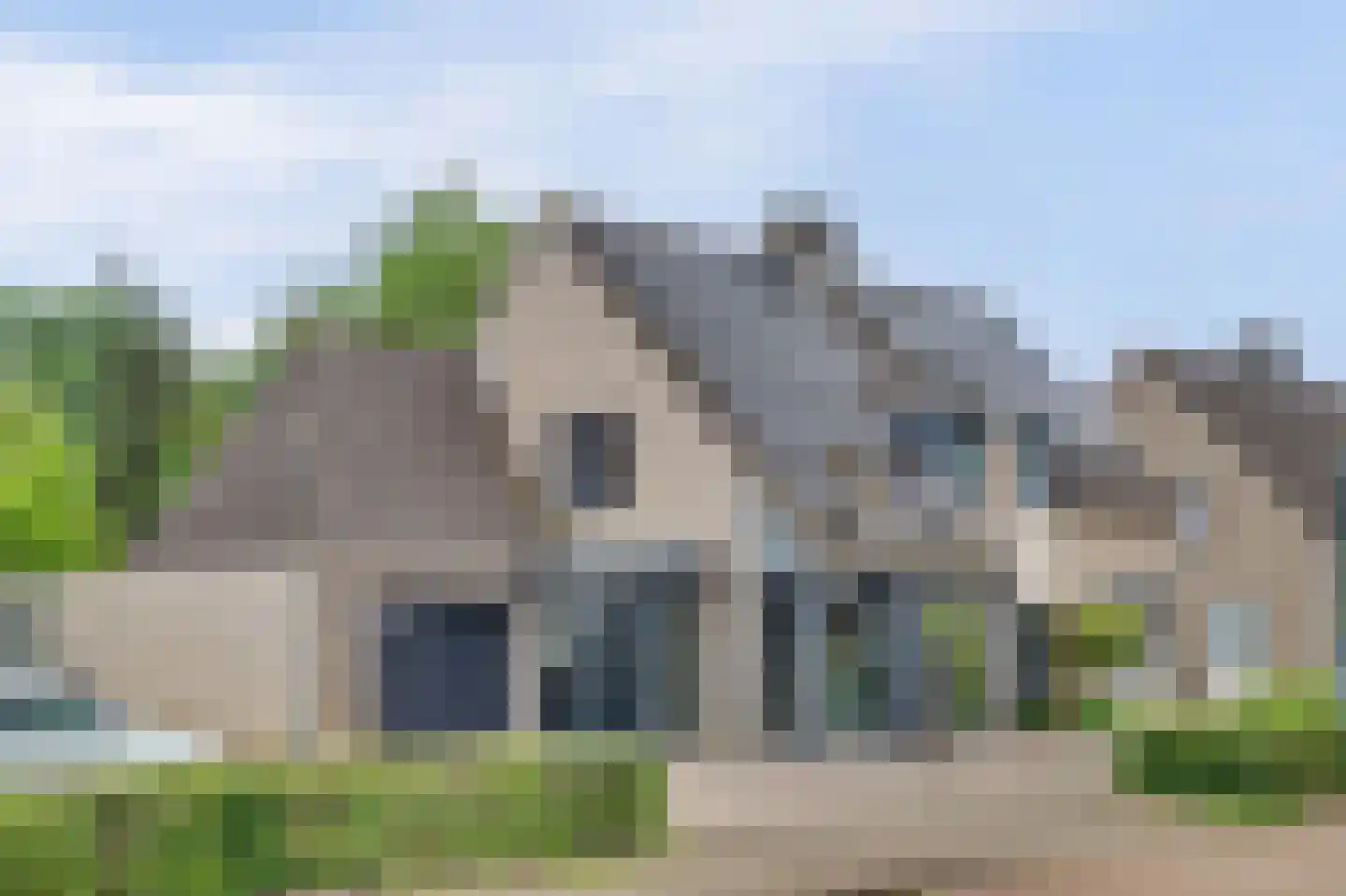 Helmkruid 2 Bladel thumbnail 4