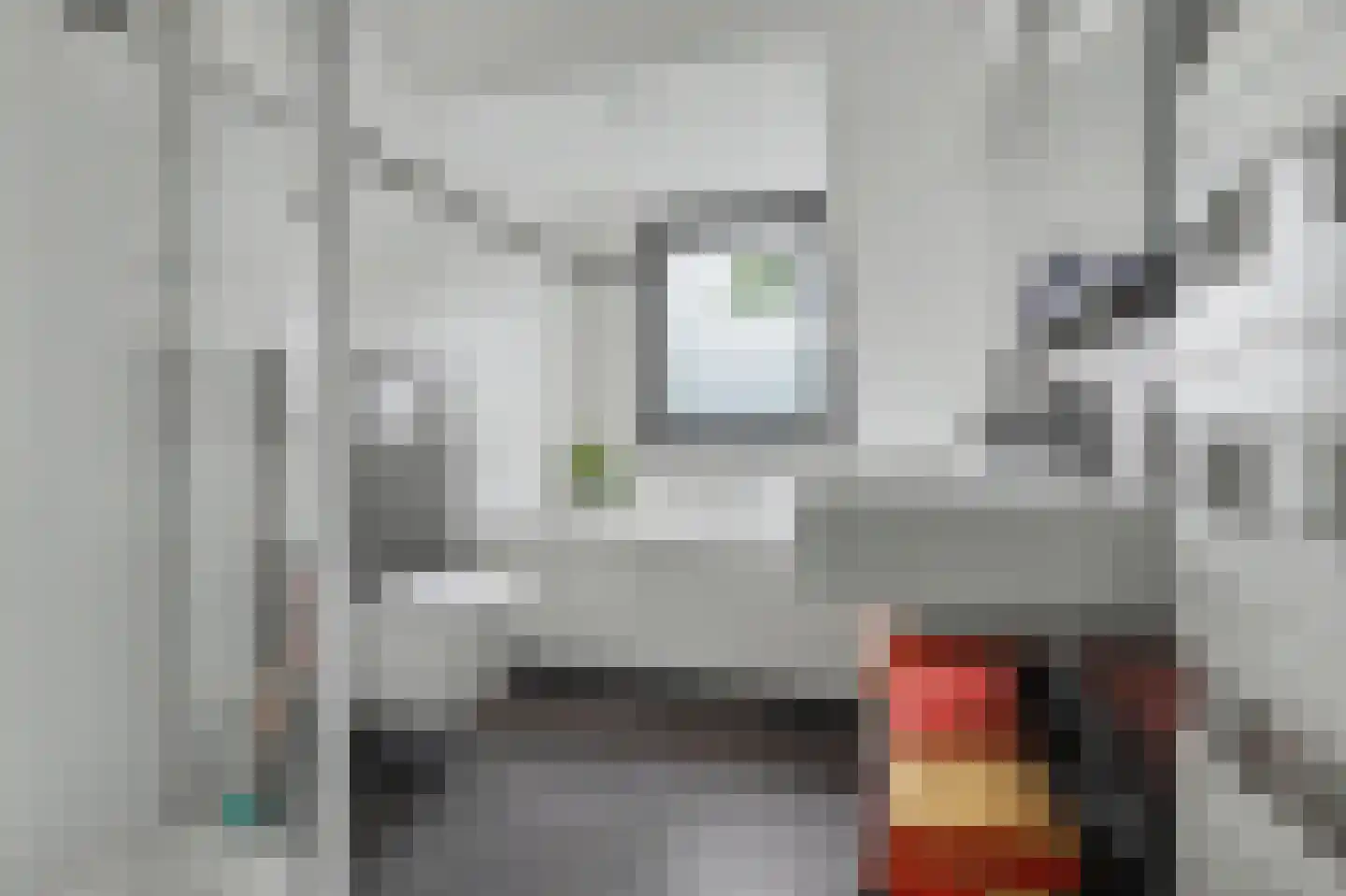 Helmkruid 2 Bladel thumbnail 40