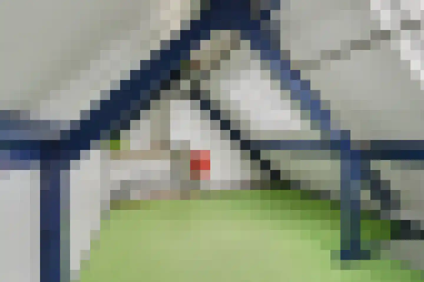 Helmkruid 2 Bladel thumbnail 43
