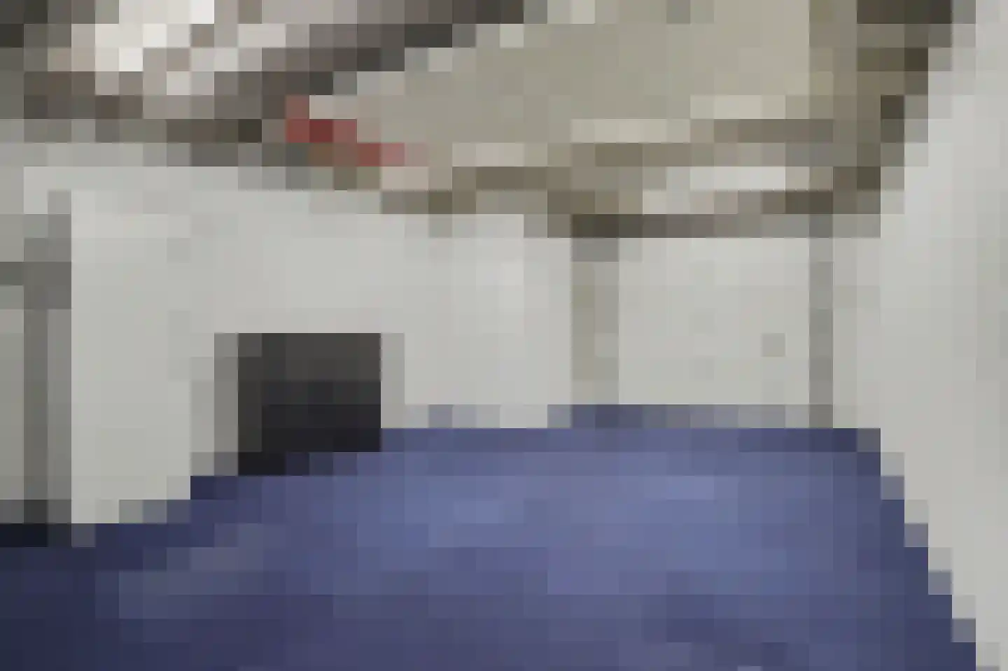 Helmkruid 2 Bladel thumbnail 44