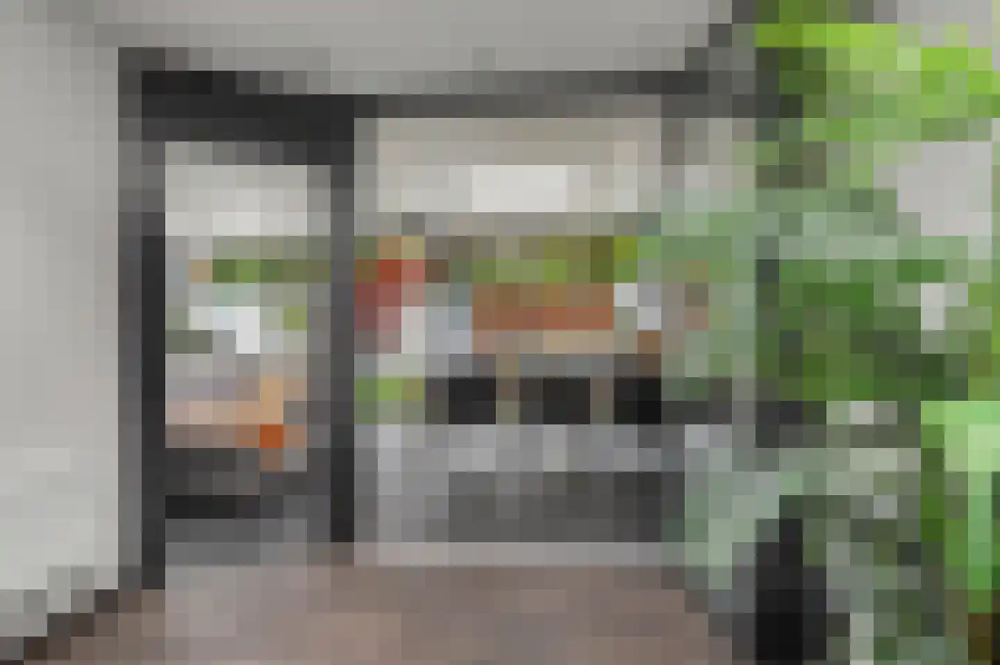 Helmkruid 2 Bladel thumbnail 47