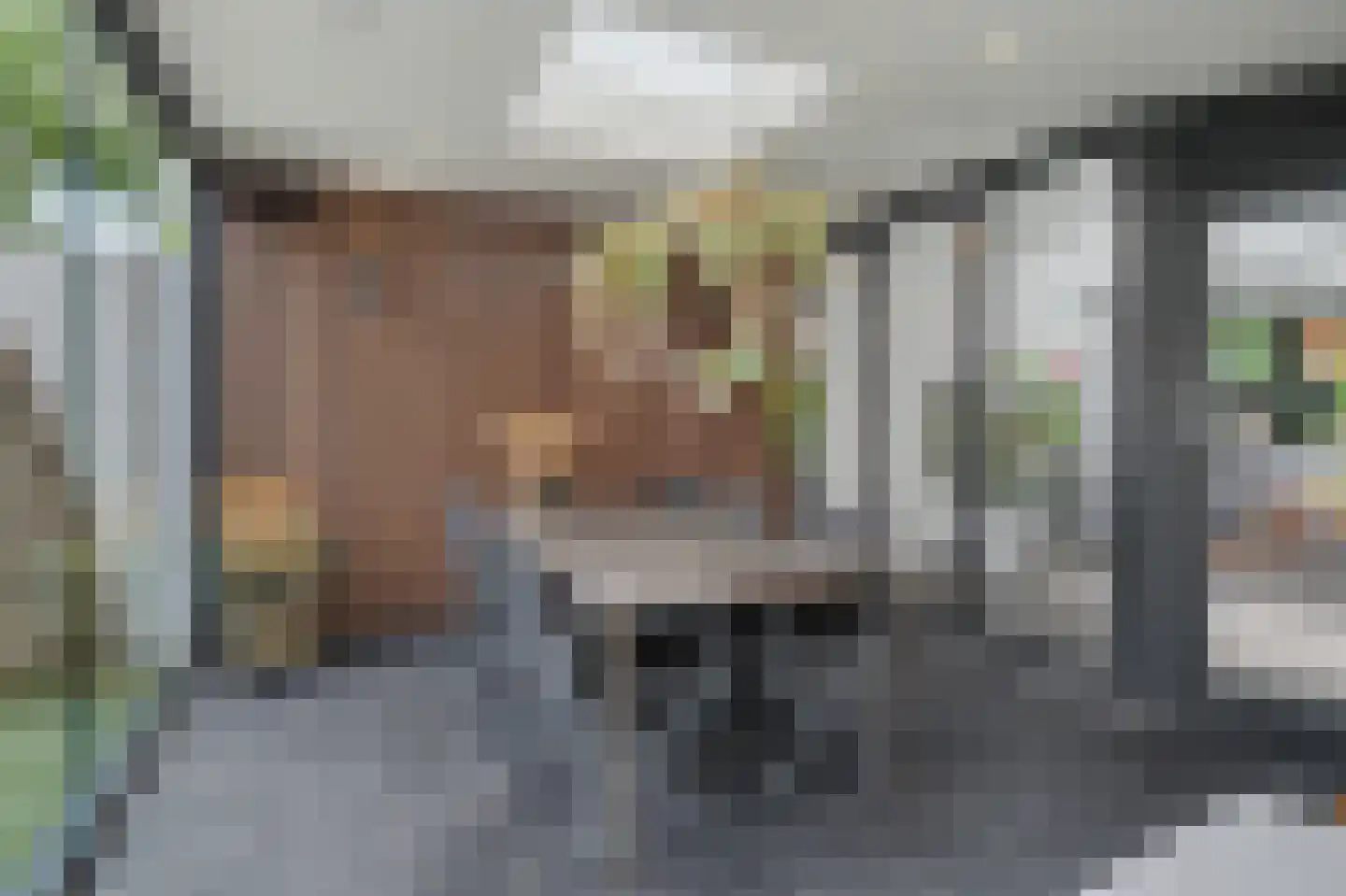 Helmkruid 2 Bladel thumbnail 49