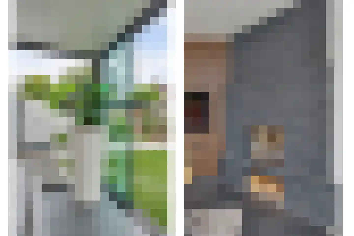 Helmkruid 2 Bladel thumbnail 51