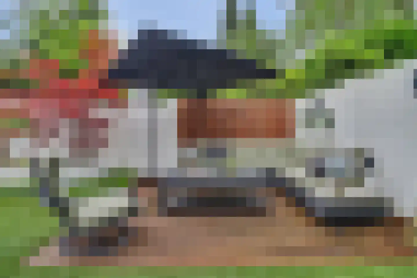 Helmkruid 2 Bladel thumbnail 53