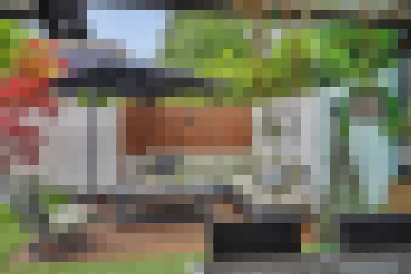 Helmkruid 2 Bladel thumbnail 54