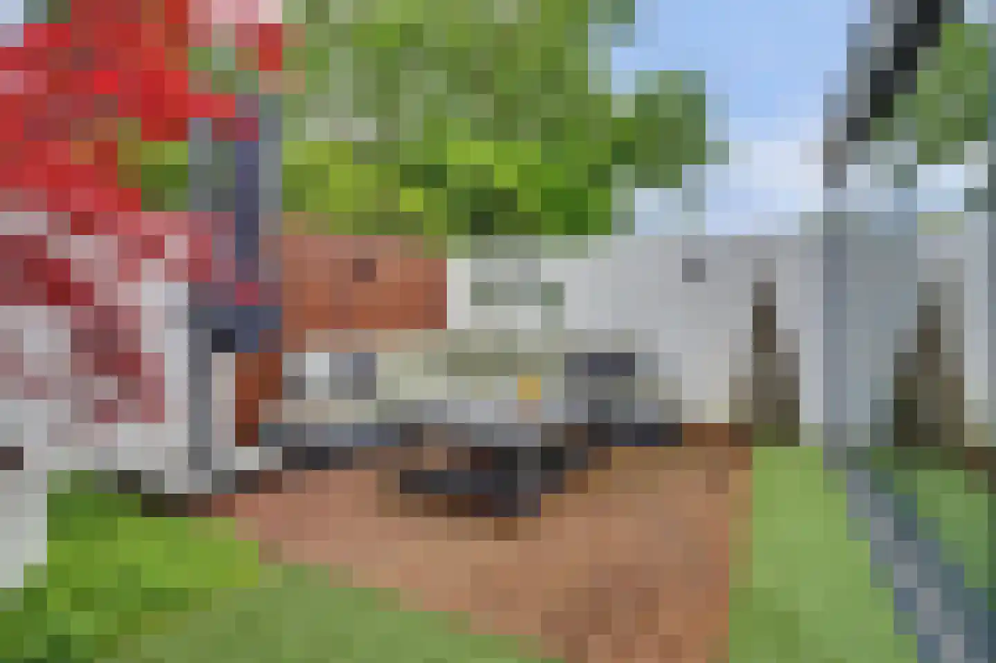 Helmkruid 2 Bladel thumbnail 55