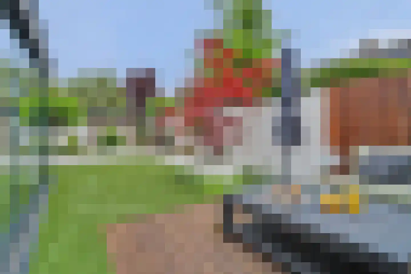 Helmkruid 2 Bladel thumbnail 56