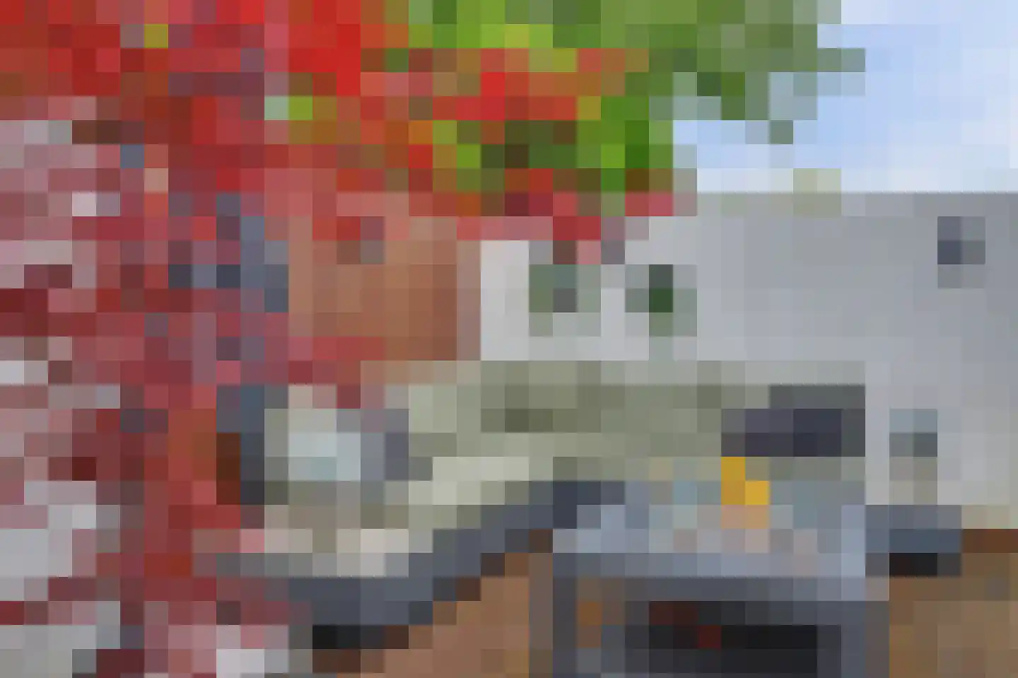 Helmkruid 2 Bladel thumbnail 57