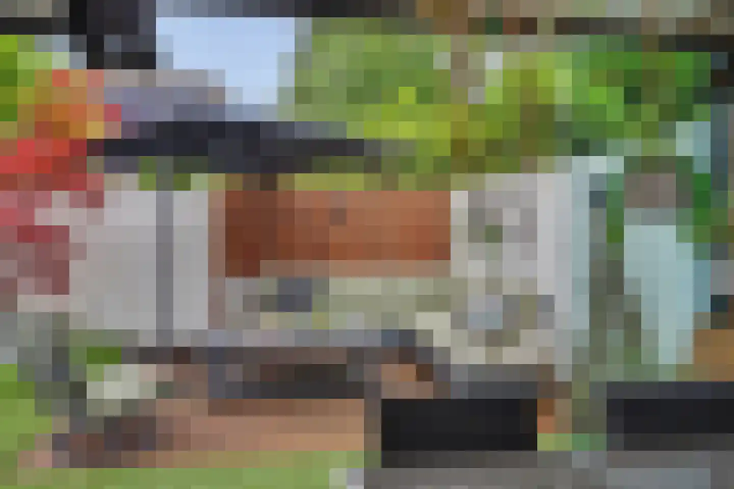 Helmkruid 2 Bladel thumbnail 57