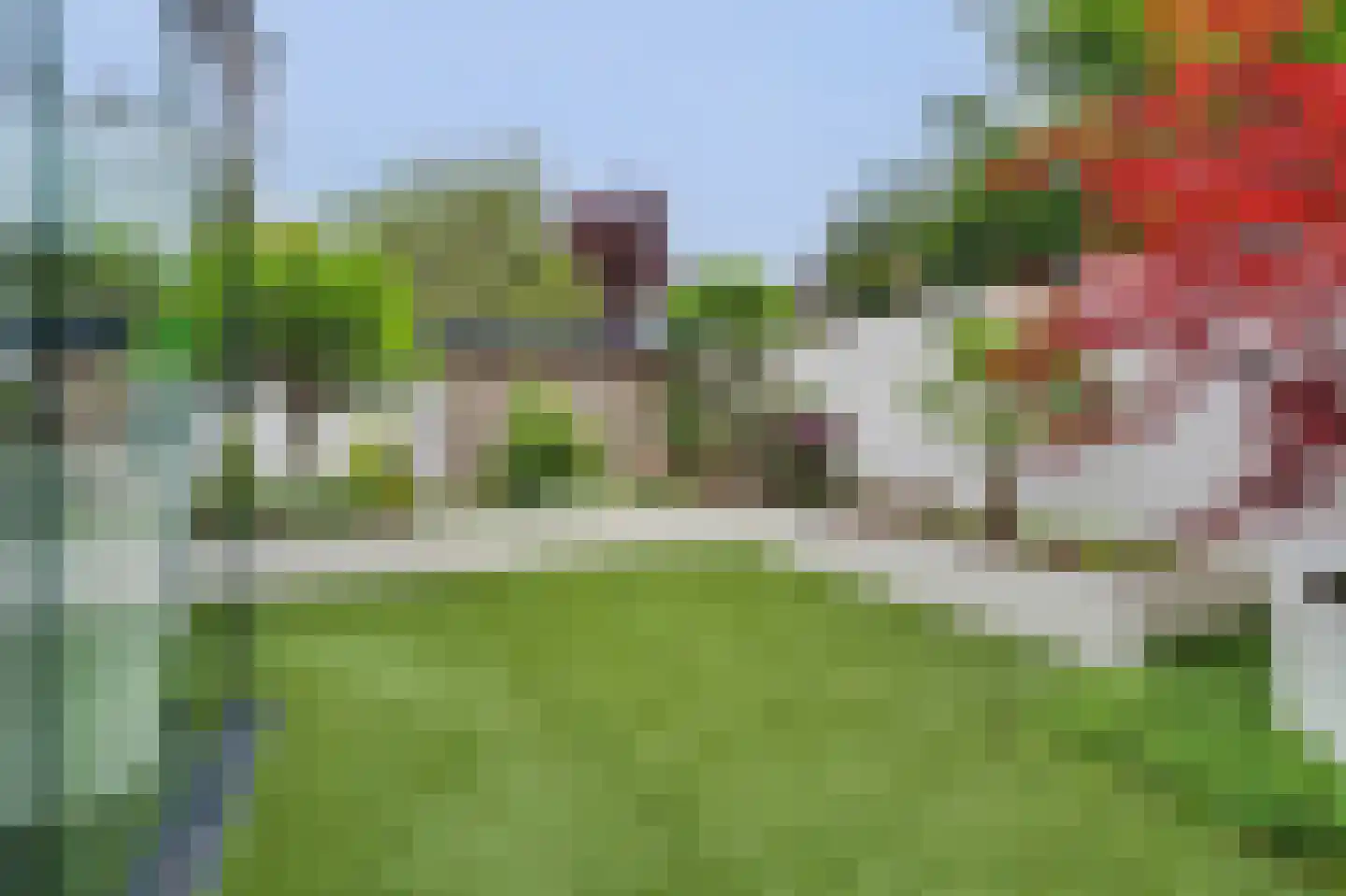 Helmkruid 2 Bladel thumbnail 58