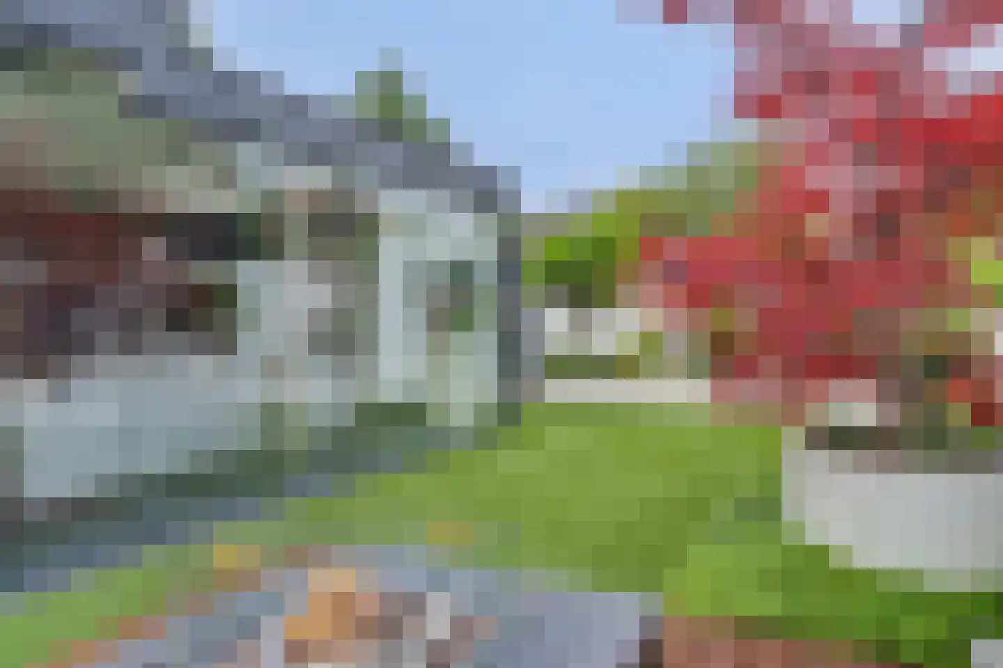 Helmkruid 2 Bladel thumbnail 59