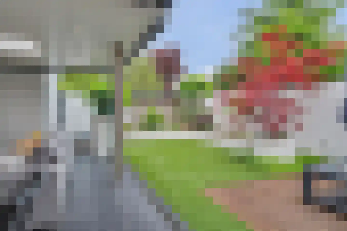 Helmkruid 2 Bladel thumbnail 60