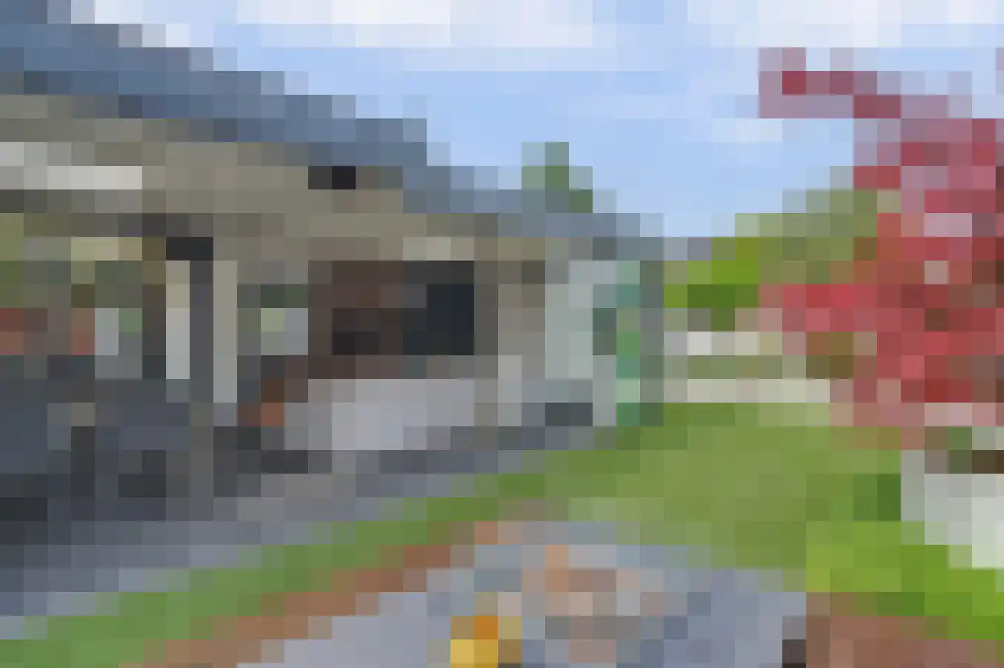 Helmkruid 2 Bladel thumbnail 61