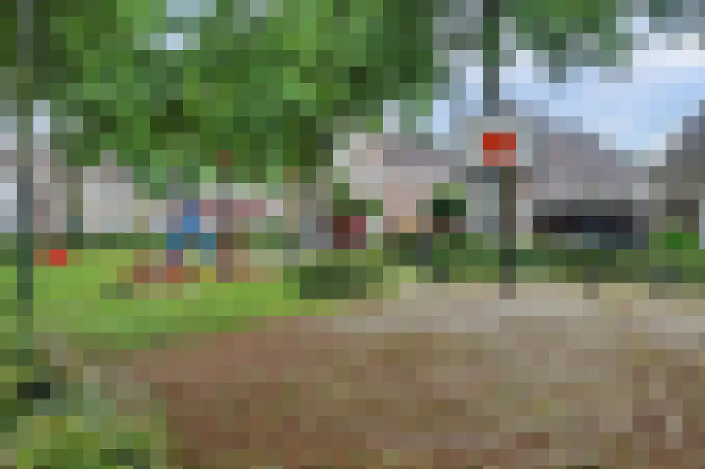 Helmkruid 2 Bladel thumbnail 63