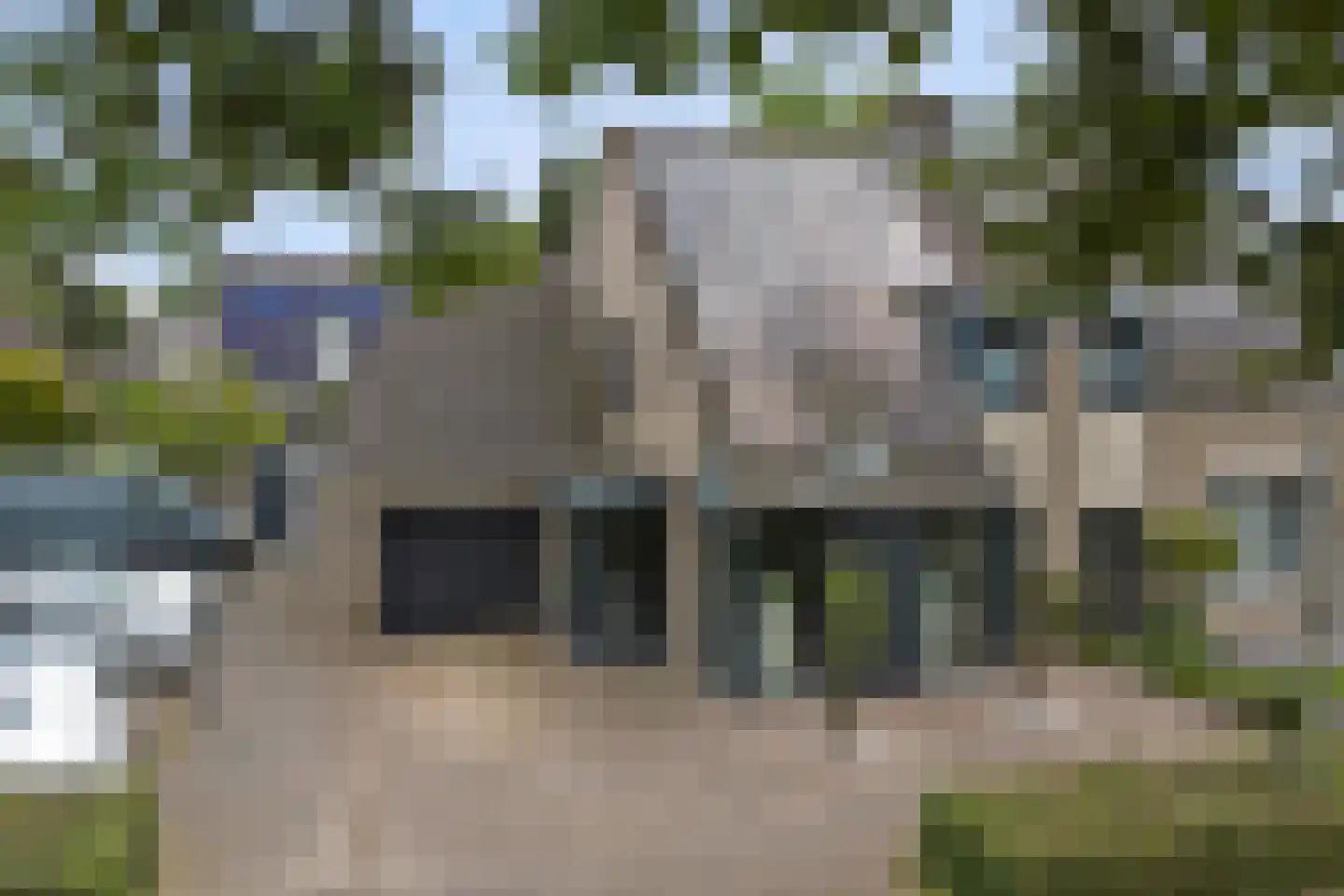 Helmkruid 2 Bladel thumbnail 64