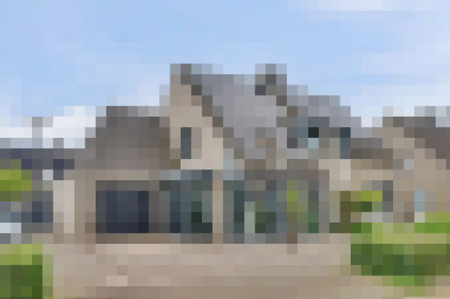 Helmkruid 2 Bladel thumbnail 66