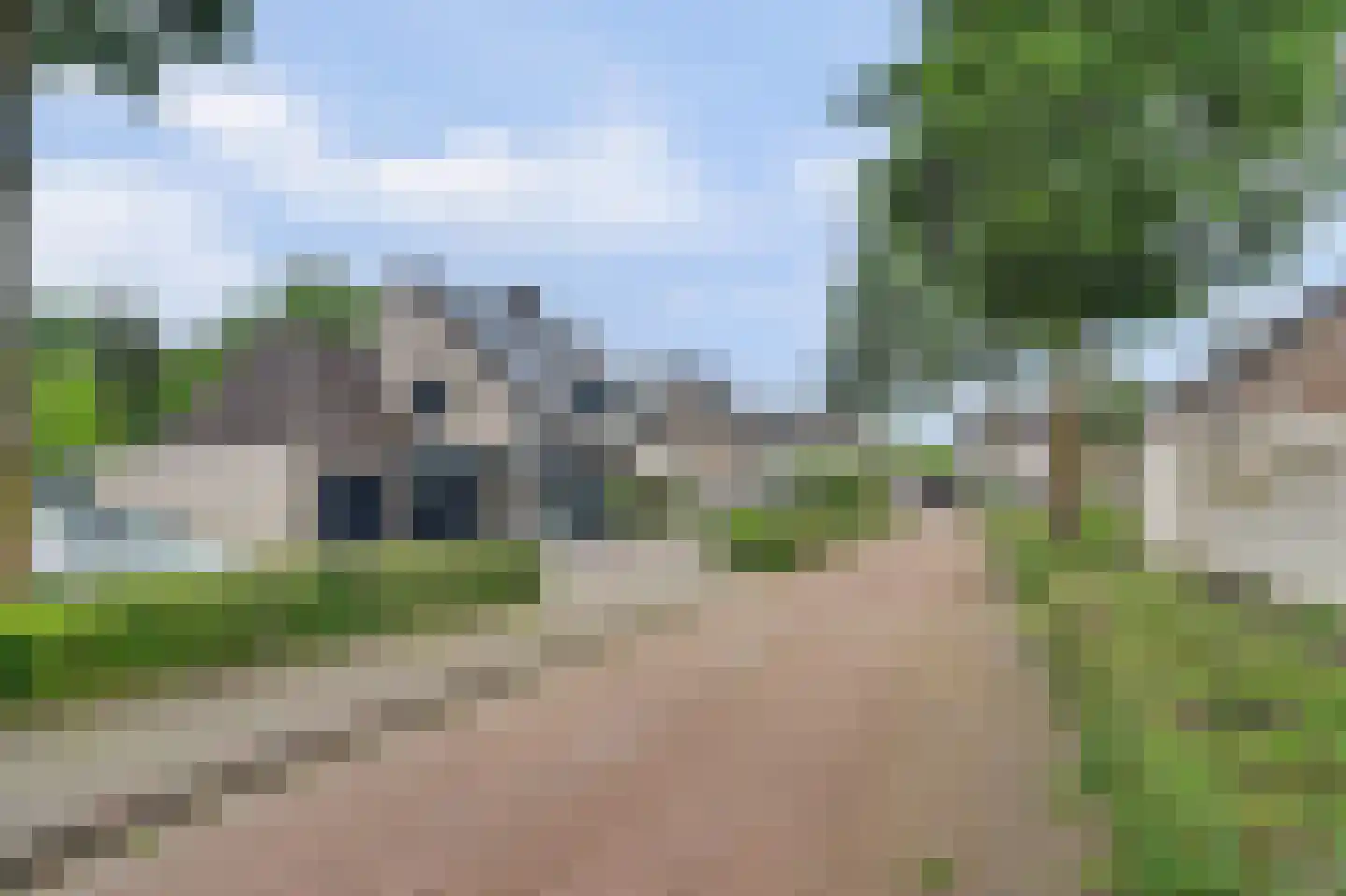 Helmkruid 2 Bladel thumbnail 67