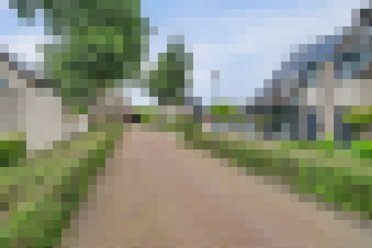 Helmkruid 2 Bladel thumbnail 68
