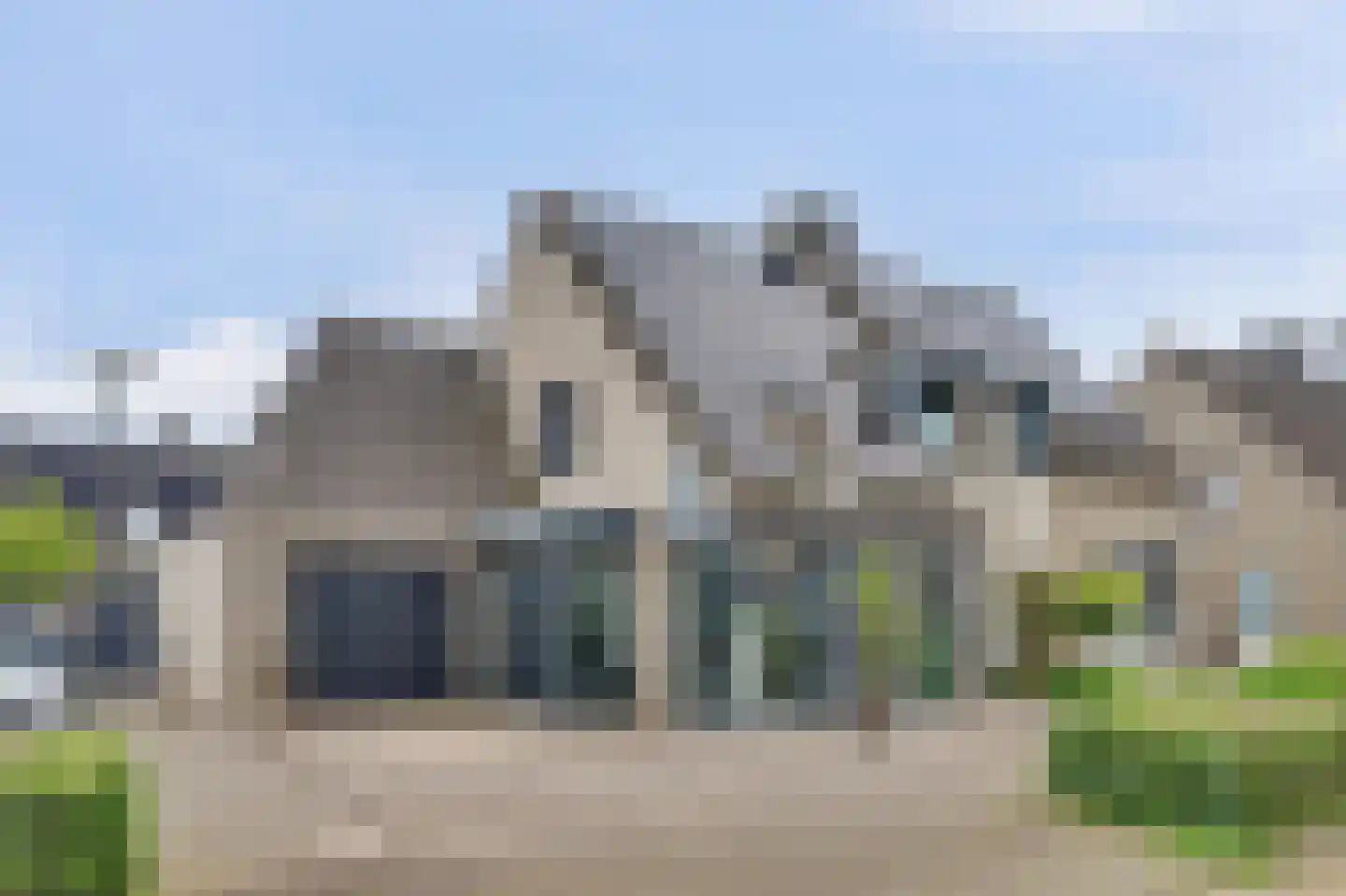 Helmkruid 2 Bladel thumbnail 69