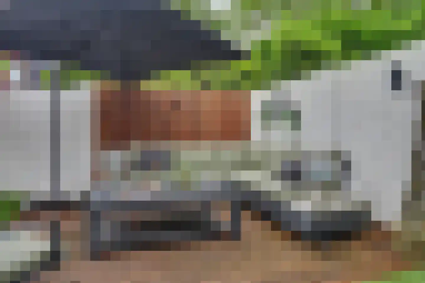Helmkruid 2 Bladel thumbnail 7