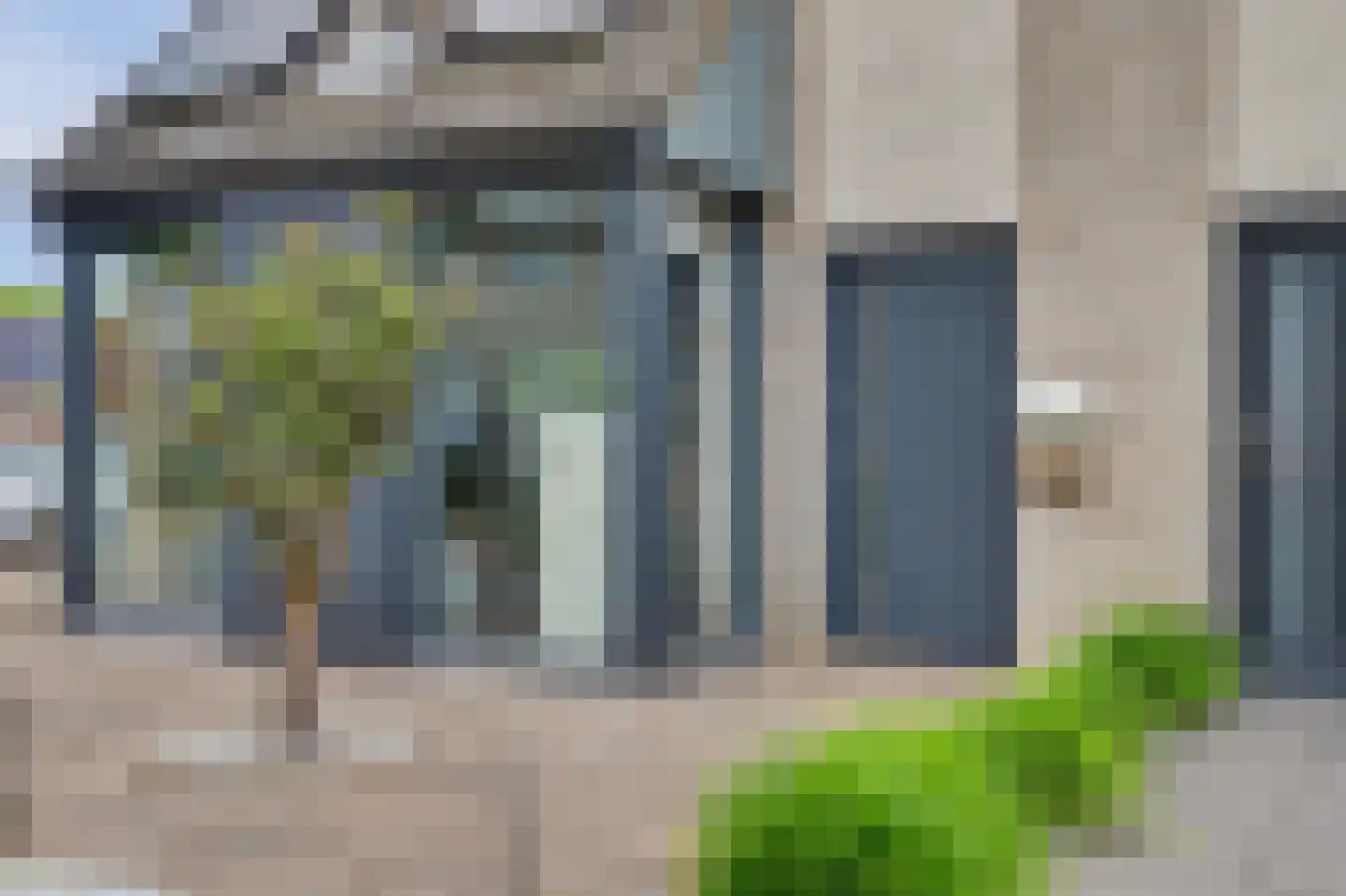 Helmkruid 2 Bladel thumbnail 7