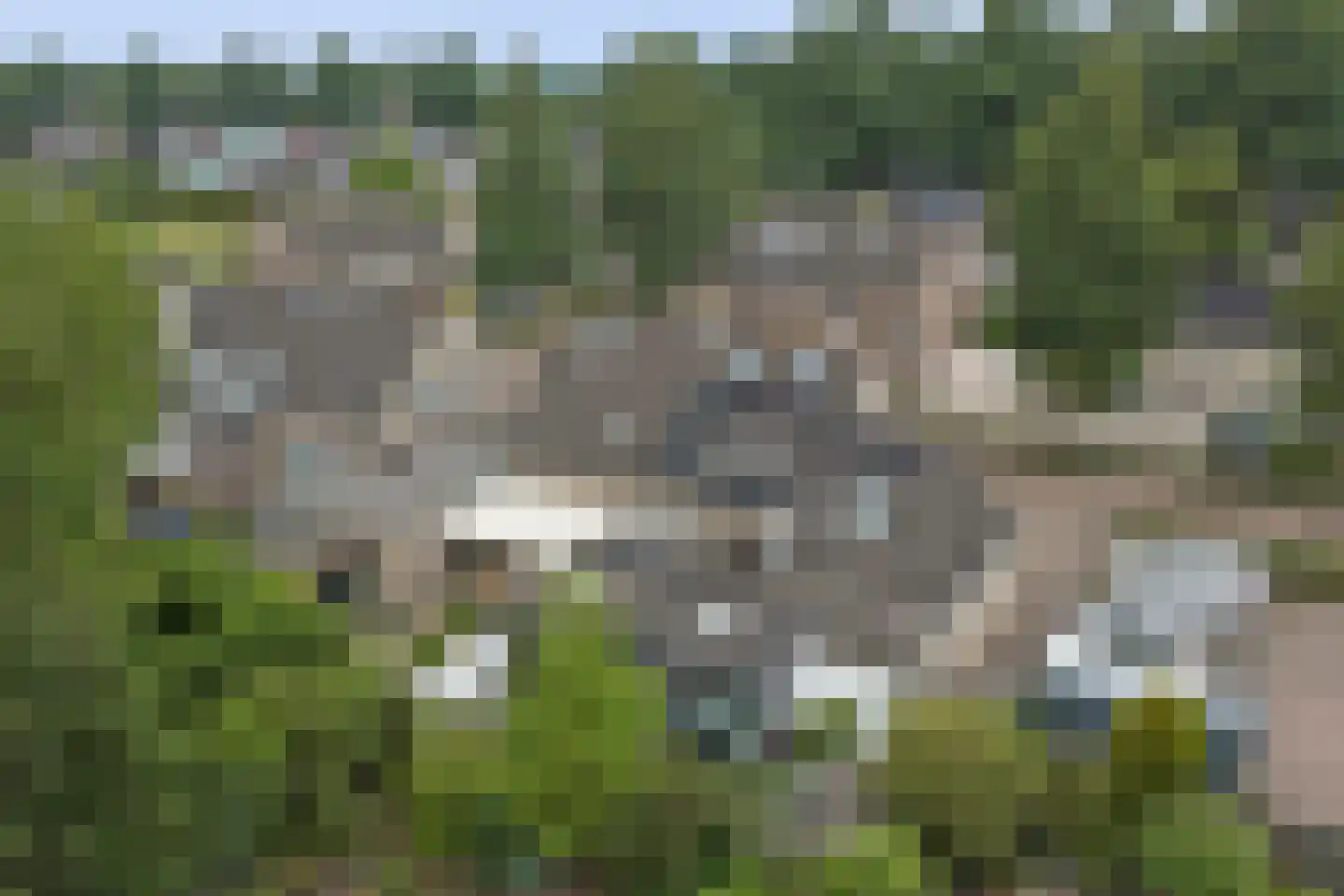 Helmkruid 2 Bladel thumbnail 70