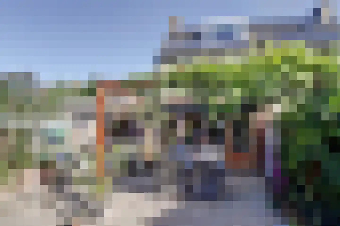Helmkruid 28 Best thumbnail 21