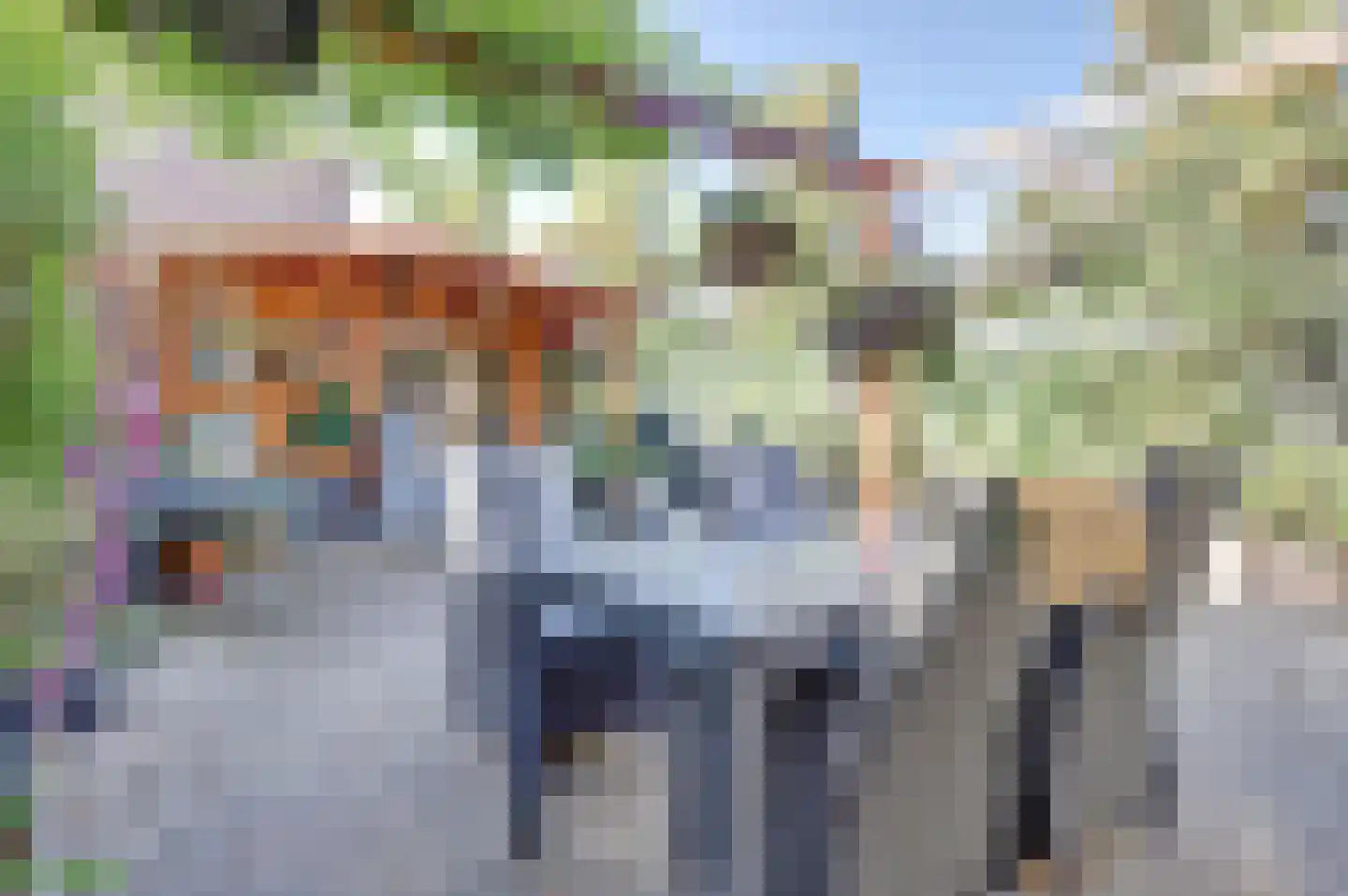 Helmkruid 28 Best thumbnail 23