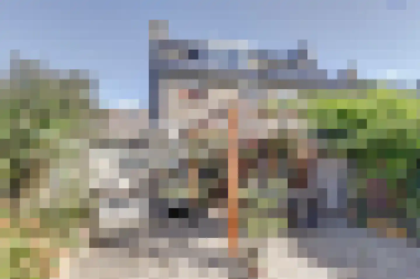 Helmkruid 28 Best thumbnail 25