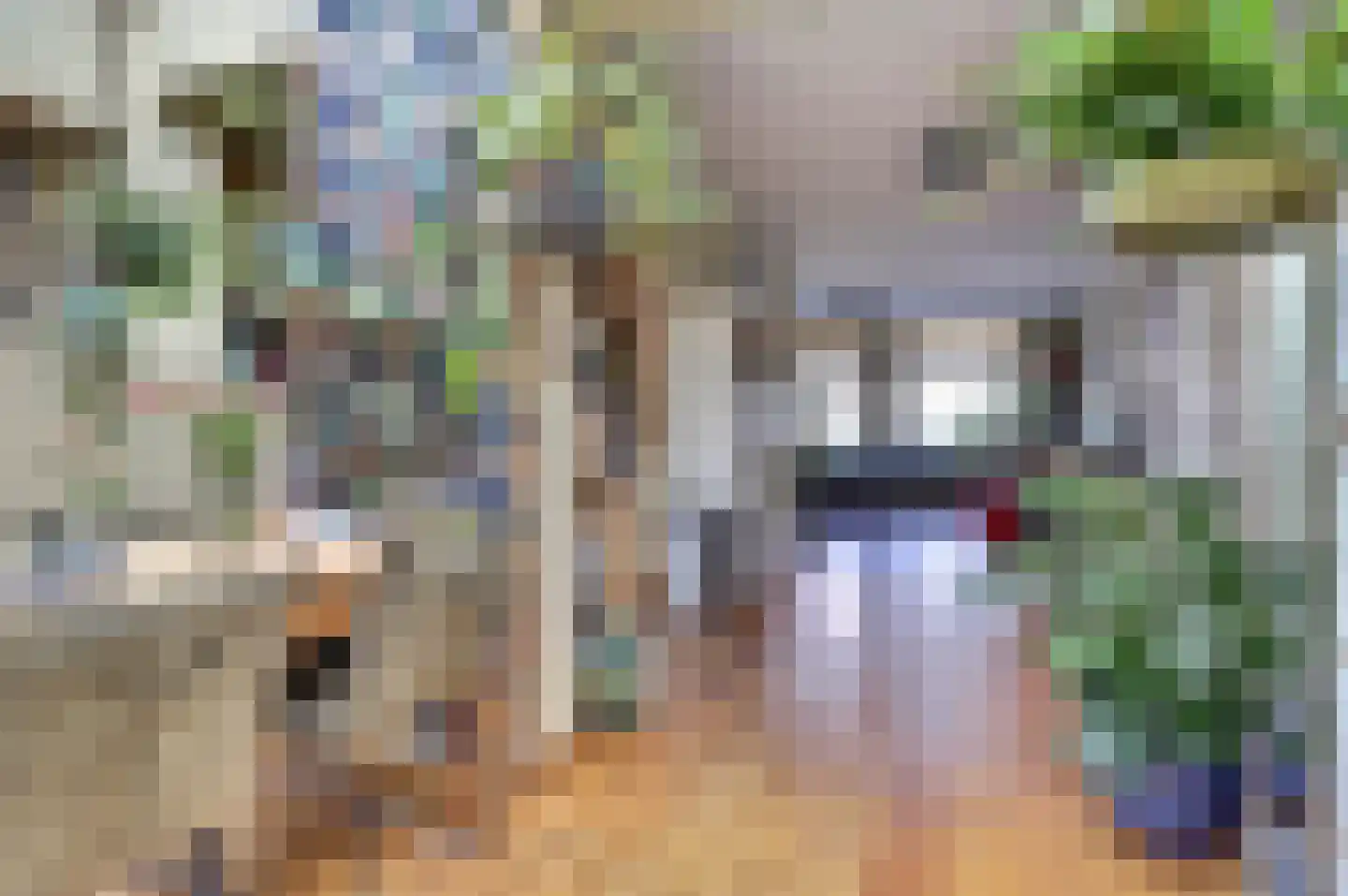 Helmkruid 28 Best thumbnail 6