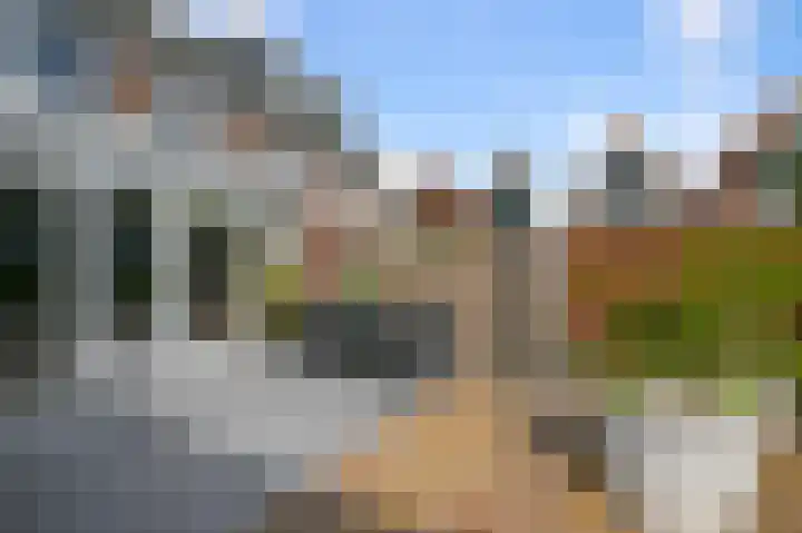 Helmkruid 3 Velserbroek thumbnail 12