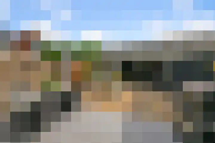 Helmkruid 3 Velserbroek thumbnail 14