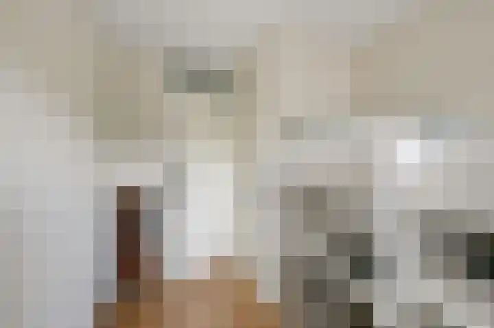 Helmkruid 3 Velserbroek thumbnail 20