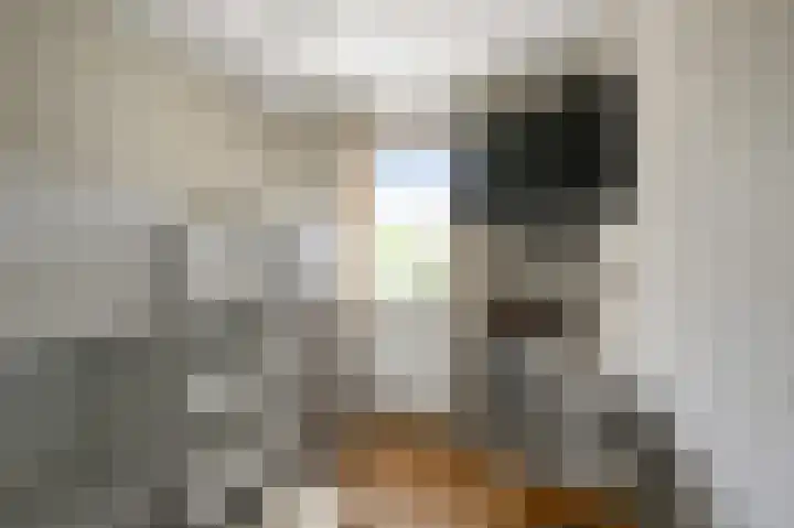 Helmkruid 3 Velserbroek thumbnail 21