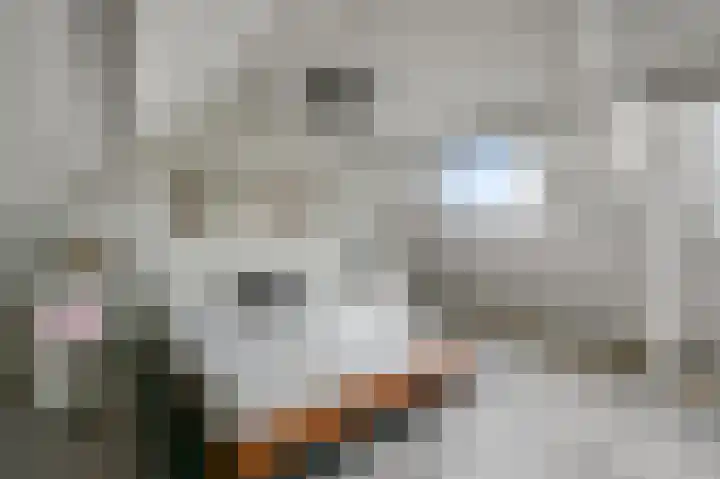 Helmkruid 3 Velserbroek thumbnail 30