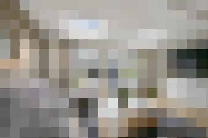 Helmkruid 3 Velserbroek thumbnail 4