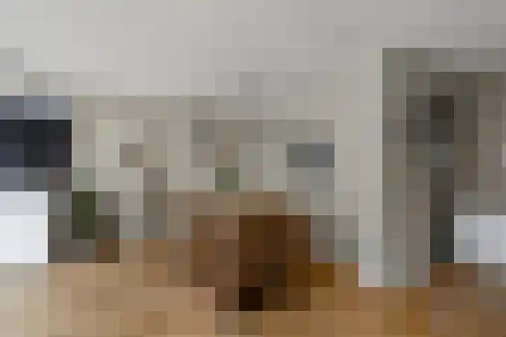 Helmkruid 3 Velserbroek thumbnail 5