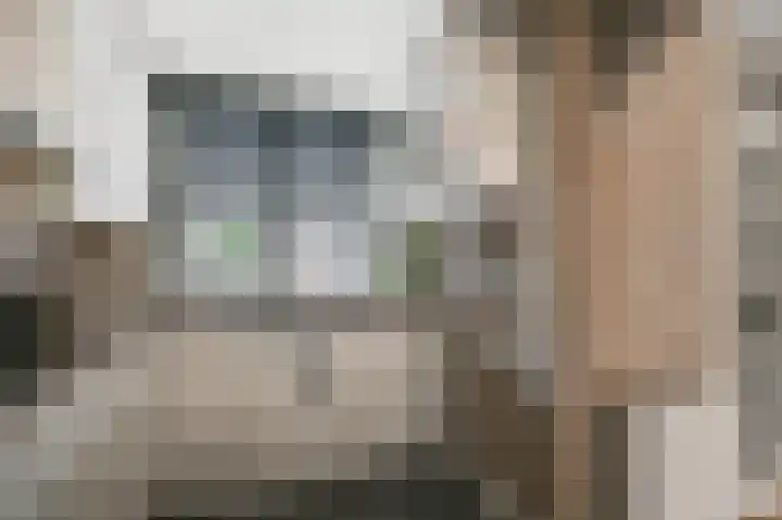 Helmkruid 3 Velserbroek thumbnail 9