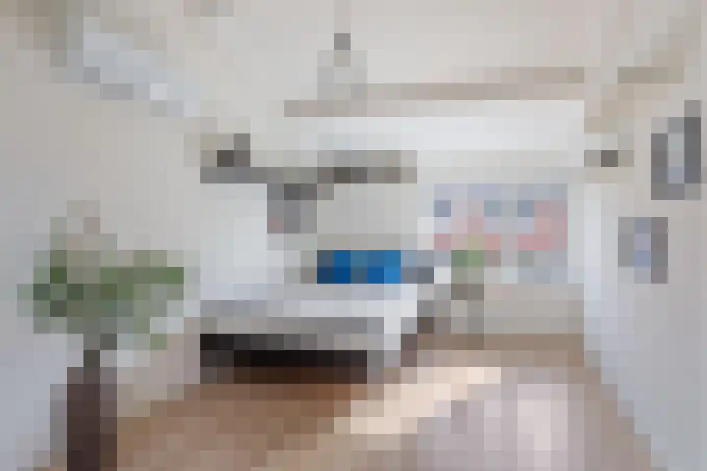Helmkruid 34 Oldenzaal thumbnail 13