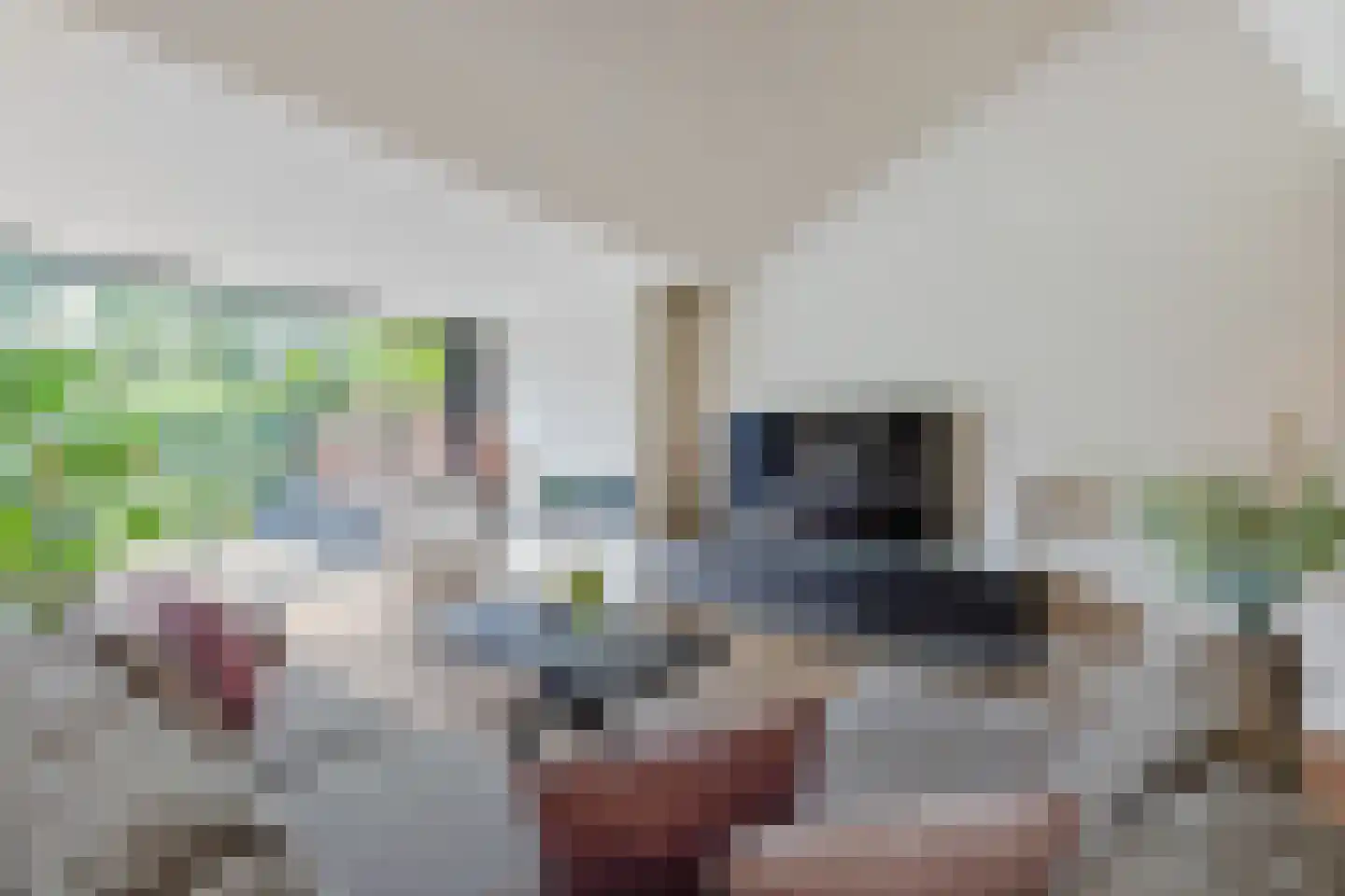 Helmkruid 34 Oldenzaal thumbnail 7